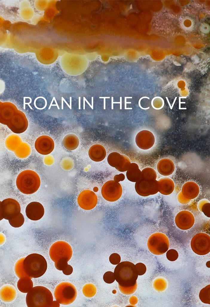 Roan in the Cove Cover